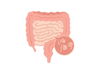 Human Intestinal Worms Parasite