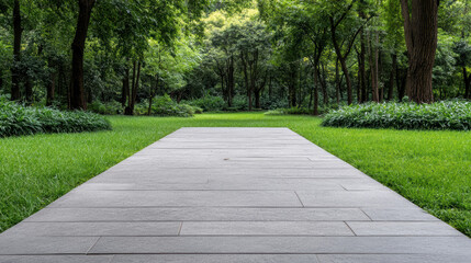 Green park wooden walkway leading into forest with peaceful ambience