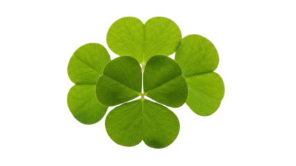Green Clover Leaf Isolated on Black Background for Natural Themes