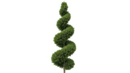 Spiraling Green Topiary Tree in Elegant Garden Display