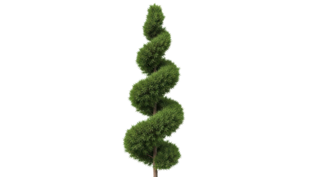 Spiraling Green Topiary Tree in Elegant Garden Display