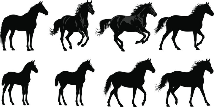Horse Silhouettes Vector Set Featuring Running, Galloping, and Standing Stallions and Foals