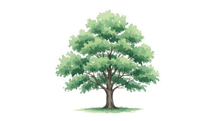 Fototapeta premium Beautiful green tree with detailed foliage and natural appearance