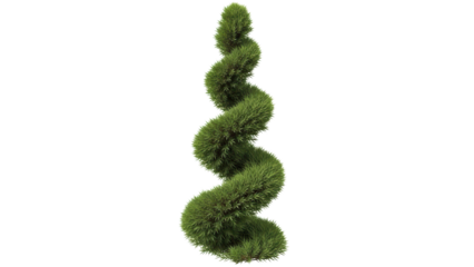 Spiral Shaped Green Plant for Modern Home or Office Decoration