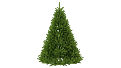 Realistic Green Christmas Tree on a Transparent Background
