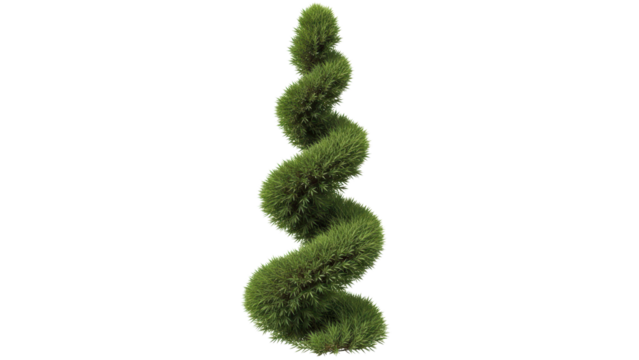 Spiral Shaped Green Plant for Modern Home or Office Decoration