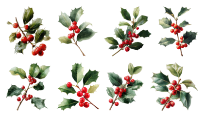 PNG Vibrant holly branches with berries element set, transparent background