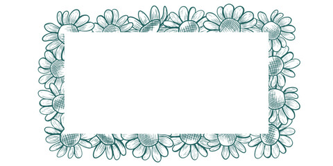 A rectangular frame with space for text and blooming chamomile. This vector frame features a line art style and a botanical illustration of wildflowers.