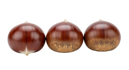 Obraz premium Three shiny brown chestnuts isolated PNG, edible nuts with smooth shells for autumn harvest and seasonal cooking
