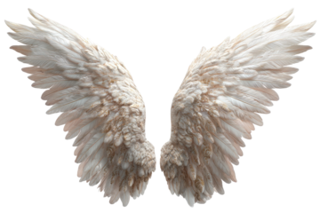 Realistic, fluffy, bright white angelic wings, meticulously detailed, spreading wide against black