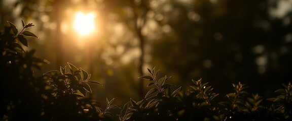 Silhouetted foliage glows against a bright light source, backlit,  background