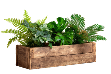Rustic wooden planter box filled with various lush green plants against a black backdrop