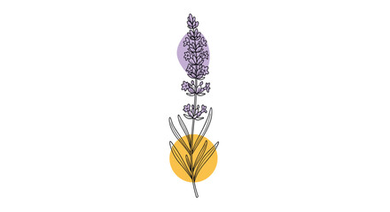 Minimalist line art illustration of a lavender sprig with abstract purple and yellow watercolor spots creating a modern design.