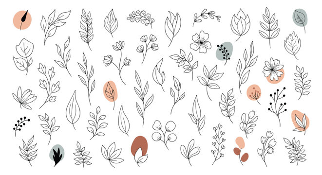 Large collection of hand-drawn botanical elements including leaves flowers and branches with abstract shapes for minimalist design.
