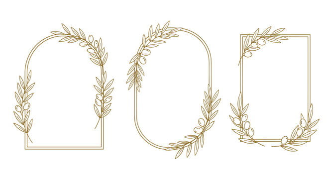 Set of elegant geometric frames with hand-drawn olive branches perfect for wedding invitations logos and branding projects.
