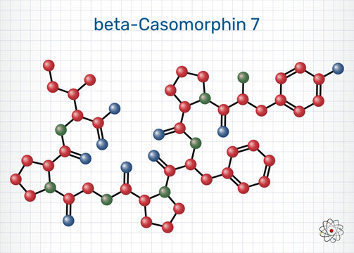 Beta-casomorphin-7, BCM7 opioid peptide molecule. Milk-derived casein peptide with potential physiological effects. Molecular model. Vector Illustration