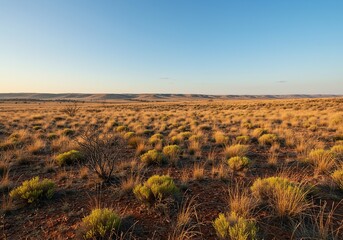 Vast, sun-drenched wilderness under a clear summer sky, featuring dry native vegetation and rugged terrain. Heat shimmers in the distance ,sunshine ,distant ,nature