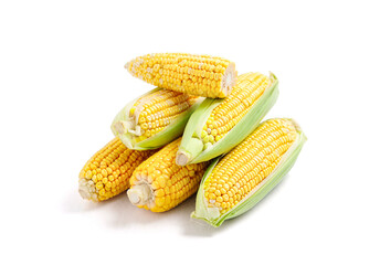 Fresh corn cob on white background