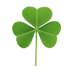 Three Leaf Clover on Black Background Signifying Luck and Prosperity