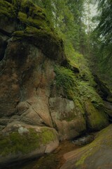 Moss covered rock formations in a lush forest stream