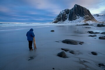 Person and dog enjoying a serene beach with snow capped mountains