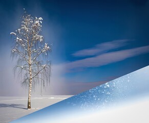 Snow covered tree in a winter landscape with a bright blue sky