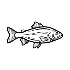 High Resolution Fish Vector Design