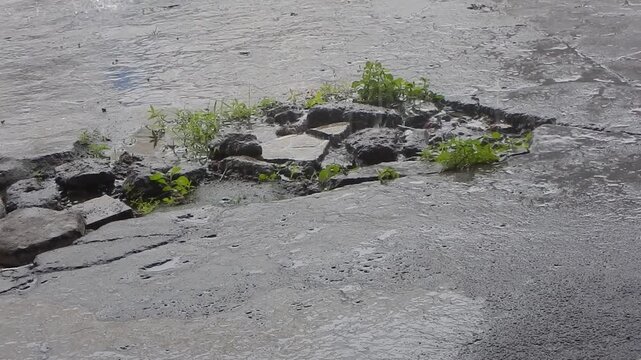 Close-up view of a large, water-filled pothole in an asphalt road during a heavy rainstorm. Water drips continually into the standing pool. The footage includes the dramatic sound of pouring rain.