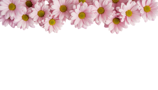 Pink Flowers in Bloom Creating a Charming Floral Background with Delicate Petals and Fresh Vibes