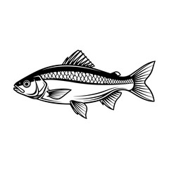 Unique Fish Vector Illustration