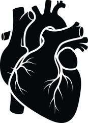 A collection of colorful peaked caps with emblems displayed in a row