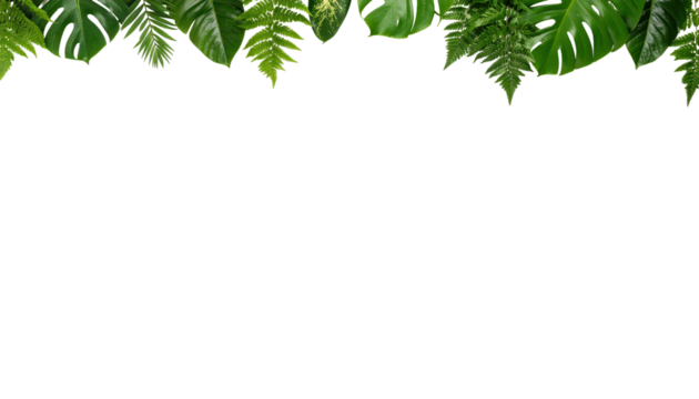 Decorative Green Leaves Border on a Transparent Background for Nature and Botanical Designs