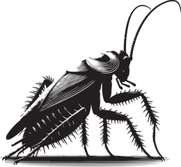 hand drawn vector illustration of a feather