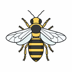 Stylized Illustration of a Honey Bee with Detailed Wings and Stripes.