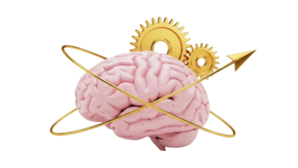 Human brain with gears and golden arrow isolated PNG, concept of thinking process and creative idea on transparent background