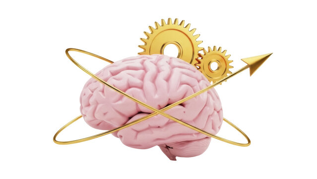 Human brain with gears and golden arrow isolated PNG, concept of thinking process and creative idea on transparent background