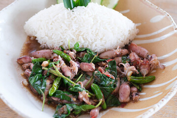 Stir fried squid with basil