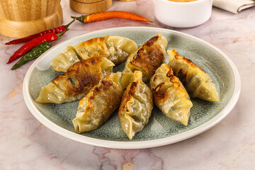 Japanese fried Gyoza stuffed dumplings