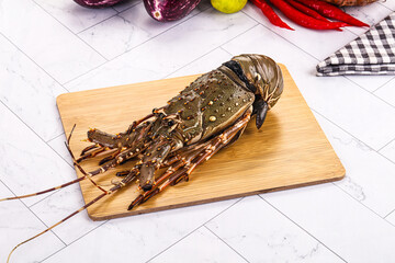 Raw wild fresh spiny lobster