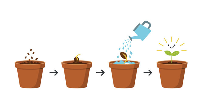 A four-step infographic illustrates the process of plant growth from sowing a seed to a happy, sprouted plant in a pot.