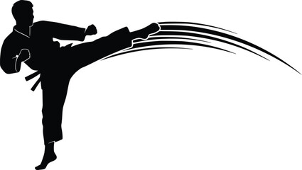 Martial arts practitioner silhouette performs powerful high kick move