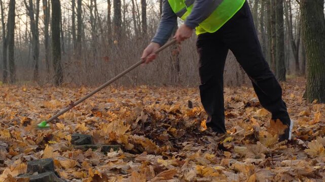 Wasted Labor, Useless Work. A Worker Sweeps Leaves In The Forest With A Broom Brush.