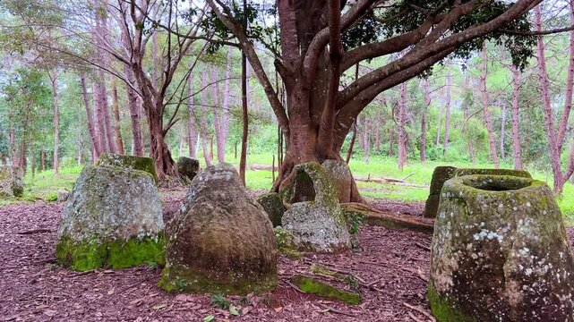 Valley of the Jars, Laos. Phongsavan. Valley of the Jars. The megalithic archaeological landscape consists of thousands of stone jars scattered across the Xiangkhouang Plateau. 4К