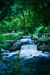 Naklejka premium Greenery and stream 