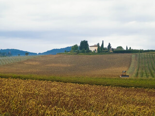 Autumn season. October in Tuscany.