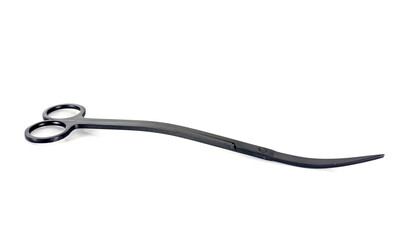 pair of scissors in studio