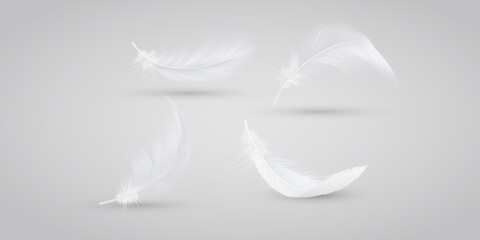 Collection of white feather illustrations floating on transparent background perfect for decorative design, softness, lightness, nature and artistic creative concepts © ShapeAlchemy