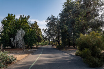  Los Angeles County Arboretum and Botanic Garden. Arcadia, California October
