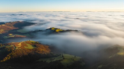 A breathtaking view of a verdant valley stretching below a sea of clouds, highlighting the contrast between earth and sky