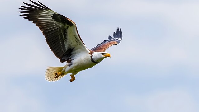 unclosed. Eagle in flight against a sky background with its wings spread wide. wildlife magazines, conservation campaigns, designed for eco-tourism storytelling, used by financial analysts.